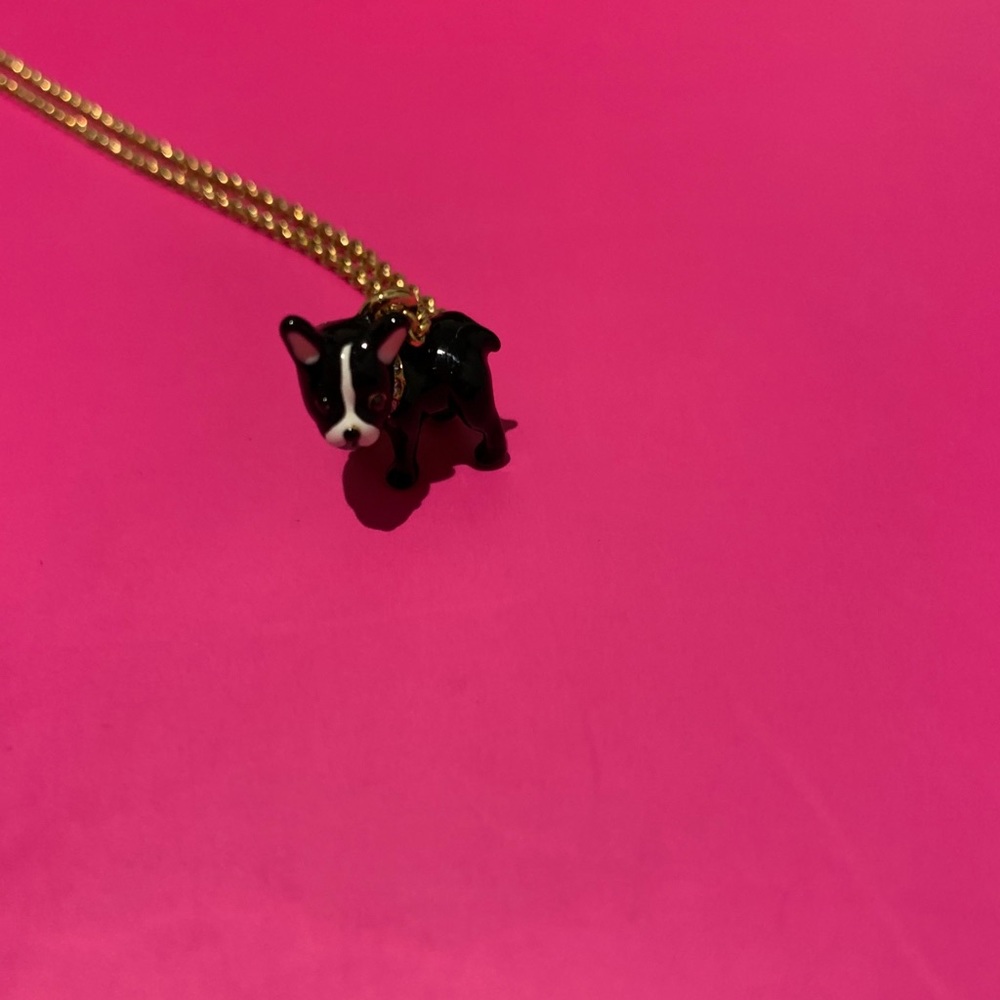 Kate Spade dog necklace